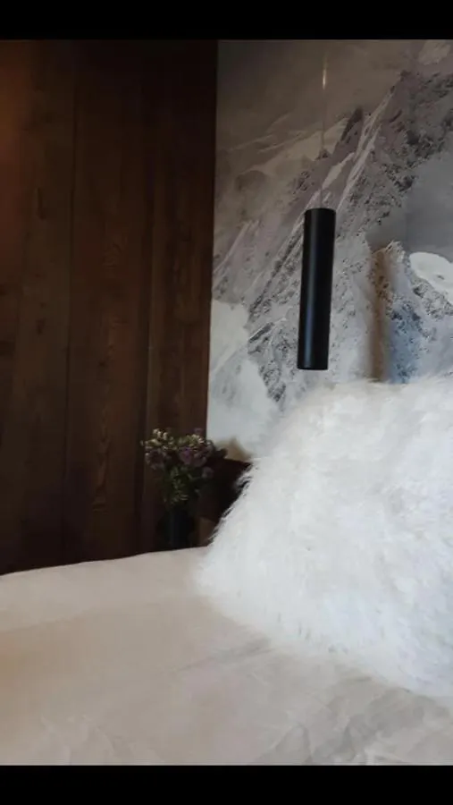 Chalet avec jacuzzi - 100 m des remontées Morzine France